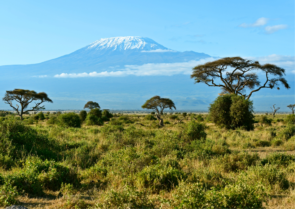 3 days Amboseli